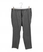 THE NORTH FACEザ ノース フェイス）の古着「Novelty Apex Relax Pant」｜グレー