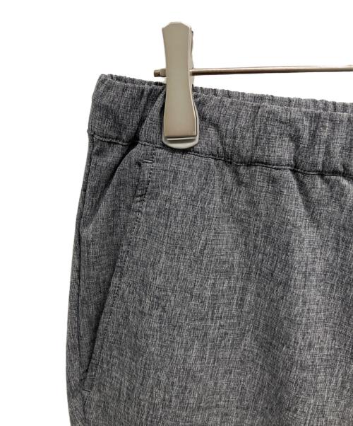 THE NORTH FACE（ザ ノース フェイス）THE NORTH FACE (ザ ノース フェイス) Novelty Apex Relax Pant グレー サイズ:XLの古着・服飾アイテム