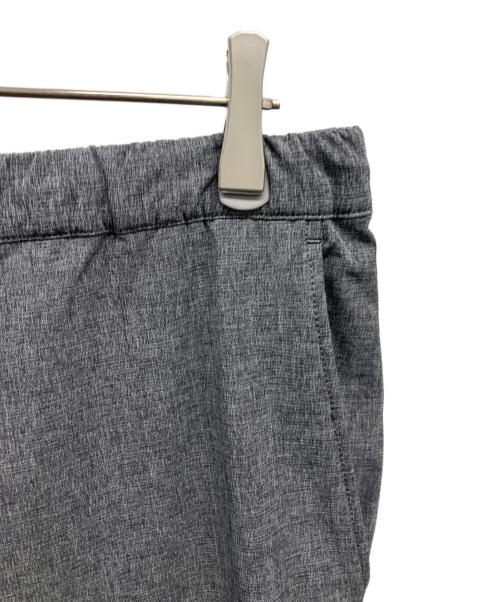 THE NORTH FACE（ザ ノース フェイス）THE NORTH FACE (ザ ノース フェイス) Novelty Apex Relax Pant グレー サイズ:XLの古着・服飾アイテム