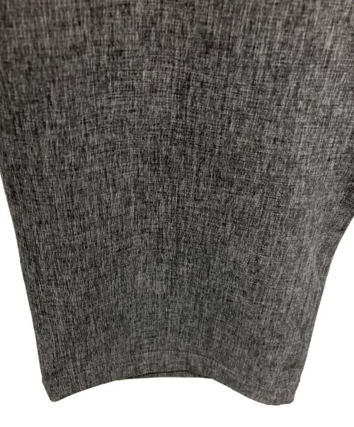THE NORTH FACE（ザ ノース フェイス）THE NORTH FACE (ザ ノース フェイス) Novelty Apex Relax Pant グレー サイズ:XLの古着・服飾アイテム