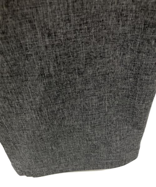 THE NORTH FACE（ザ ノース フェイス）THE NORTH FACE (ザ ノース フェイス) Novelty Apex Relax Pant グレー サイズ:XLの古着・服飾アイテム
