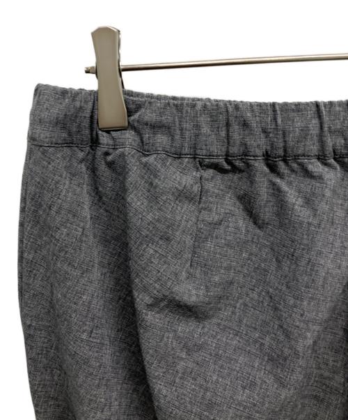THE NORTH FACE（ザ ノース フェイス）THE NORTH FACE (ザ ノース フェイス) Novelty Apex Relax Pant グレー サイズ:XLの古着・服飾アイテム