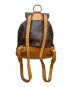 LOUIS VUITTON (ルイ ヴィトン) リュック ブラウン：55000円