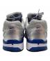 NIKE (ナイキ) NIKE W P-6000 METALLIC SILVER/TEAM ROYAL-WHITE-BLACK シルバー×ブルー サイズ:29cm：6000円