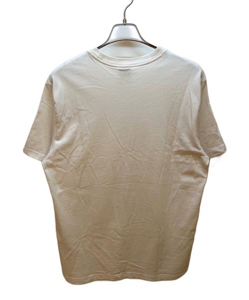 NIKE ACG（ナイキエーシージー）NIKE ACG (ナイキエージーシー) SUPREME (シュプリーム) 半袖カットソー ホワイト サイズ:Lの古着・服飾アイテム