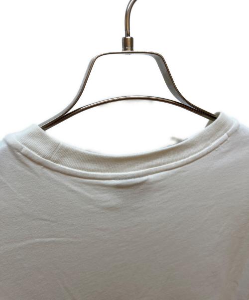 NIKE ACG（ナイキエーシージー）NIKE ACG (ナイキエージーシー) SUPREME (シュプリーム) 半袖カットソー ホワイト サイズ:Lの古着・服飾アイテム