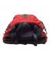 中古・古着 THE NORTH FACE (ザ ノース フェイス) バックパック レッド×ブラック：10000円