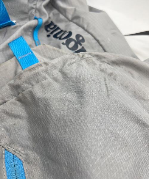 Patagonia（パタゴニア）Patagonia (パタゴニア) バックパック グレー×ブルーの古着・服飾アイテム