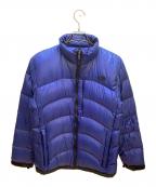 THE NORTH FACEザ ノース フェイス）の古着「ダウンジャケット」｜ブルー