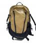 THE NORTH FACE（ザ ノース フェイス）の古着「リュック」｜ベージュ