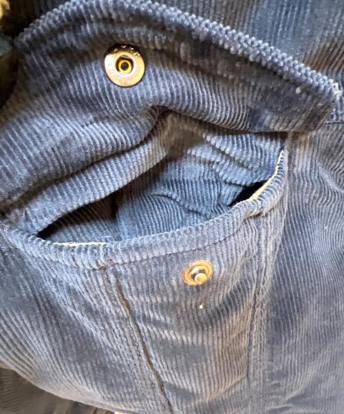 Patagonia（パタゴニア）Patagonia (パタゴニア) Pile Lined Trucker Jkt ネイビー サイズ:Lの古着・服飾アイテム