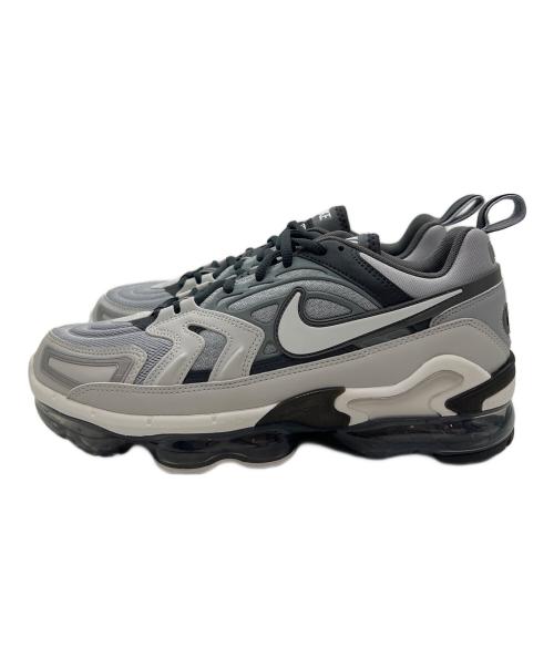 NIKE（ナイキ）NIKE (ナイキ) NIKE AIR VAPORMAX EVO 
