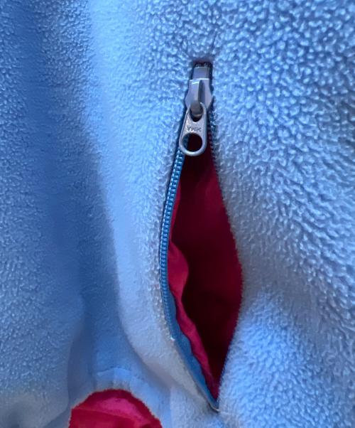Patagonia（パタゴニア）Patagonia (パタゴニア) グリセードフリースジャケット スカイブルー サイズ:Lの古着・服飾アイテム