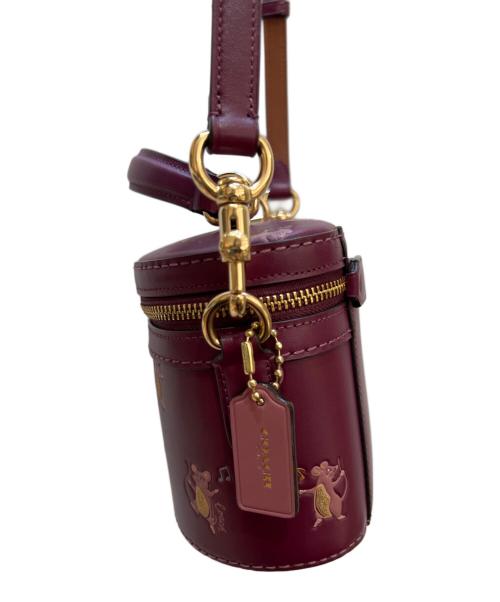 COACH（コーチ）COACH (コーチ) 2WAYショルダーバッグ バイオレットの古着・服飾アイテム