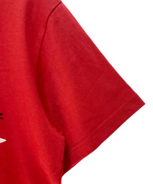 maison kitsune（メゾンキツネ）maison kitsune (メゾンキツネ) and wander (アンドワンダー) MAISON KITSUNE × and wander skiing for dry citton T レッド サイズ:Sの古着・服飾アイテム