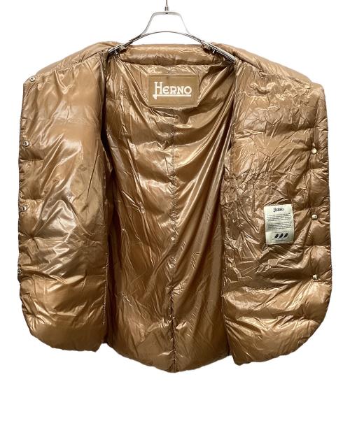 HERNO（ヘルノ）HERNO (ヘルノ) ダウンジャケット ブラウン サイズ:44の古着・服飾アイテム