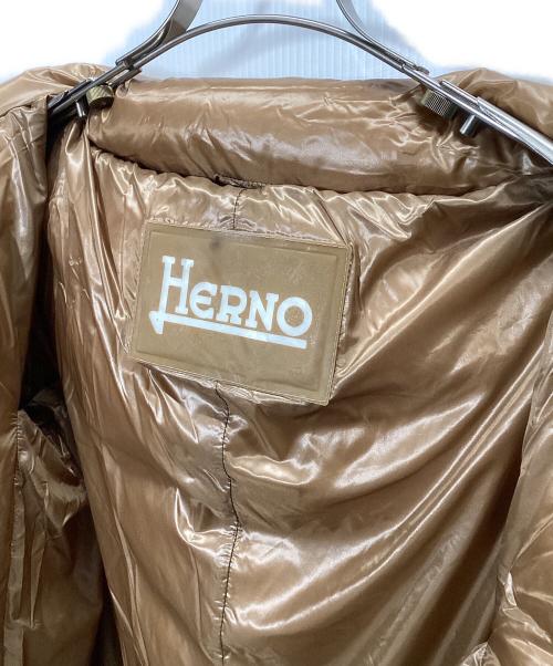 HERNO（ヘルノ）HERNO (ヘルノ) ダウンジャケット ブラウン サイズ:44の古着・服飾アイテム