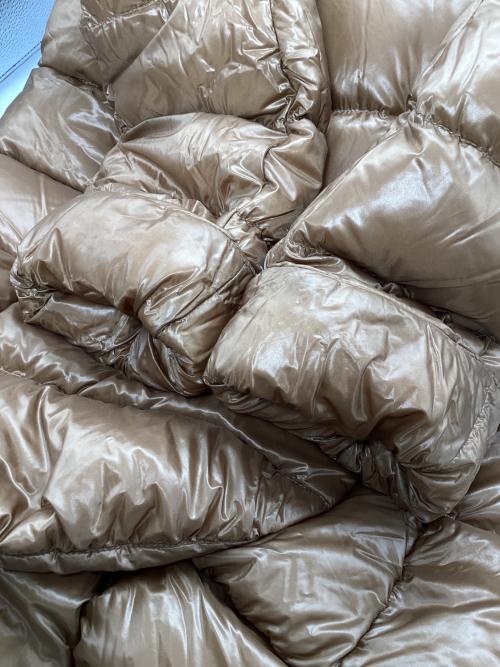 HERNO（ヘルノ）HERNO (ヘルノ) ダウンジャケット ブラウン サイズ:44の古着・服飾アイテム