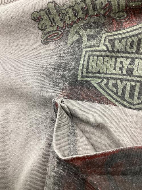 HARLEY-DAVIDSON（ハーレーダビッドソン）HARLEY-DAVIDSON (ハーレーダビッドソン) 長袖Tシャツ グレー サイズ:不明の古着・服飾アイテム