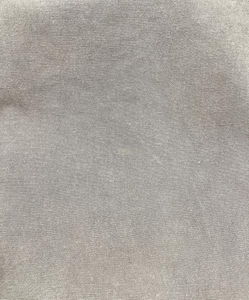 Carhartt WIP（カーハート ワーク イン プログレス）Carhartt WIP (カーハート ワーク イン プログレス) ダックパンツ グレー サイズ:Mの古着・服飾アイテム
