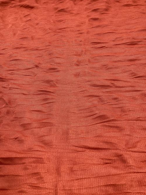 ISSEY MIYAKE（イッセイミヤケ）ISSEY MIYAKE (イッセイミヤケ) 半袖カットソー ブラウン サイズ:FREEの古着・服飾アイテム