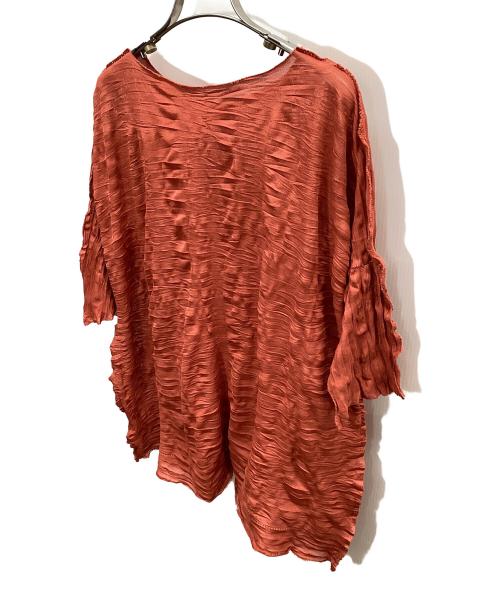 ISSEY MIYAKE（イッセイミヤケ）ISSEY MIYAKE (イッセイミヤケ) 半袖カットソー ブラウン サイズ:FREEの古着・服飾アイテム