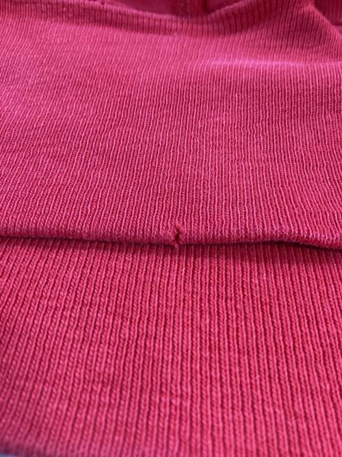 Champion（チャンピオン）Champion (チャンピオン) リバースウィーブスウェット レッド サイズ:Lの古着・服飾アイテム