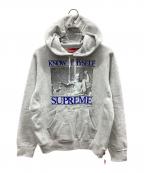 SUPREMEシュプリーム）の古着「Know Thyself Hooded Sweatshirt」｜グレー