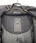 中古・古着 DESCENTE (デサント) 水沢インビジブルダウンコート（MIZUSAWA INVISIBLE DOWN COAT） ブラック サイズ:L：79800円
