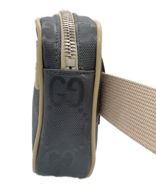 GUCCI（グッチ）GUCCI (グッチ) ボディーバッグ グレー×ベージュの古着・服飾アイテム