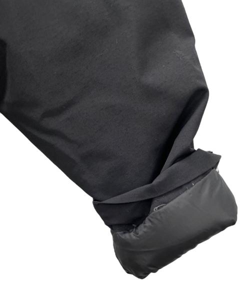 THE NORTH FACE（ザ ノース フェイス）THE NORTH FACE (ザ ノース フェイス) ダウンコート ブラック サイズ:Lの古着・服飾アイテム