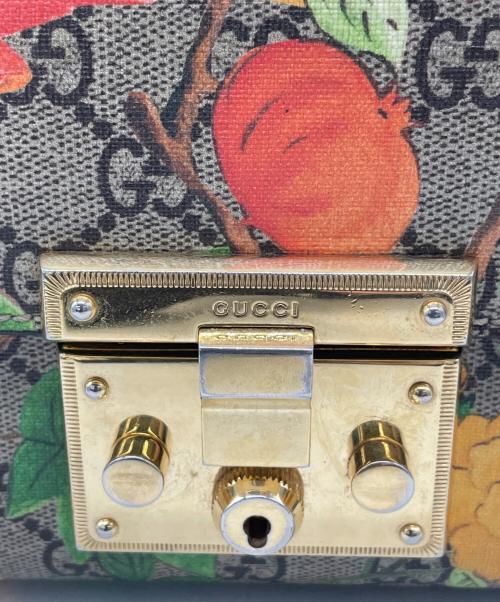 GUCCI（グッチ）GUCCI (グッチ) チェーンショルダーバッグ　パドロックGGスプリーム ブラウンの古着・服飾アイテム