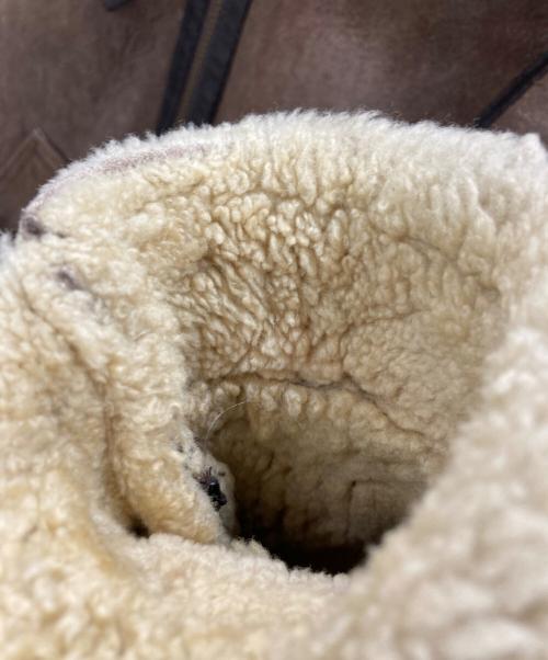 Schott（ショット）Schott (ショット) B3ジャケット ブラウン サイズ:42の古着・服飾アイテム