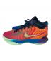 NIKE (ナイキ) LeBron 21 マルチカラー サイズ:29cm：9000円