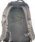 ARC'TERYX (アークテリクス) ARRO 22 ブラック：10000円