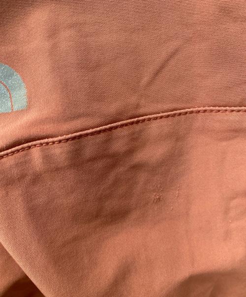 THE NORTH FACE（ザ ノース フェイス）THE NORTH FACE (ザ ノース フェイス) アルパインライトパンツ ブラウン サイズ:XLの古着・服飾アイテム