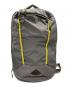 THE NORTH FACE（ザ ノース フェイス）の古着「MICROBYTE」｜グレー