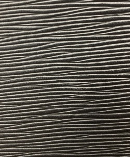 LOUIS VUITTON（ルイ ヴィトン）LOUIS VUITTON (ルイ ヴィトン) エピクリュニー  ブラックの古着・服飾アイテム