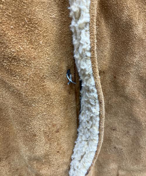 Schott（ショット）Schott (ショット) 80’Sウエスタンレザージャケット ブラウン サイズ:36の古着・服飾アイテム