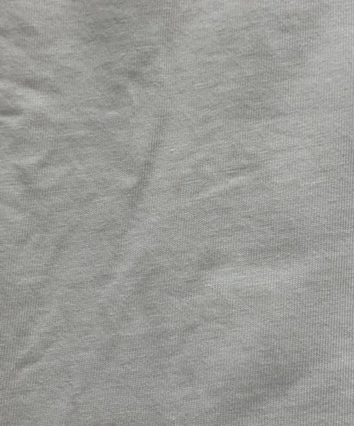 ACG（エーシージー）ACG (エーシージー) SUPREME (シュプリーム) Tシャツ ホワイト サイズ:Lの古着・服飾アイテム