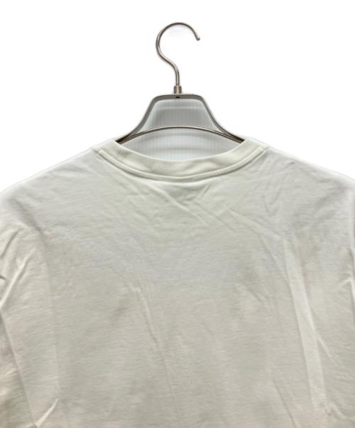 ACG（エーシージー）ACG (エーシージー) SUPREME (シュプリーム) Tシャツ ホワイト サイズ:Lの古着・服飾アイテム