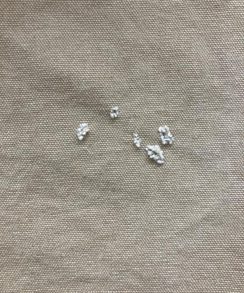 CarHartt（カーハート）CarHartt (カーハート) アクティブジャケット ベージュ サイズ:LARGEの古着・服飾アイテム