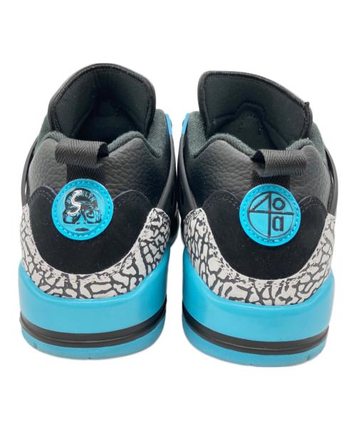 NIKE（ナイキ）NIKE (ナイキ) ローカットスニーカー ブラック×ブルー サイズ:28㎝の古着・服飾アイテム