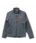 THE NORTH FACE（ザ ノース フェイス）の古着「ジャケット」｜グレー