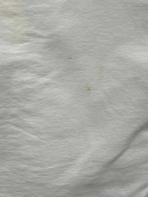 SASSAFRAS（ササフラス）SASSAFRAS (ササフラス) 長袖シャツ ホワイト サイズ:Mの古着・服飾アイテム