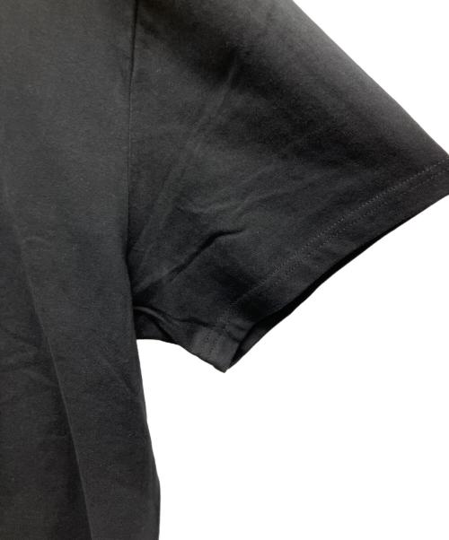stussy（ステューシー）stussy (ステューシー) 半袖カットソー ブラック サイズ:SIZE Lの古着・服飾アイテム
