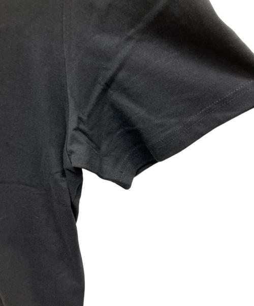stussy（ステューシー）stussy (ステューシー) 半袖カットソー ブラック サイズ:Lの古着・服飾アイテム
