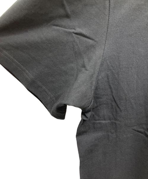 stussy（ステューシー）stussy (ステューシー) 半袖カットソー ブラック サイズ:Lの古着・服飾アイテム