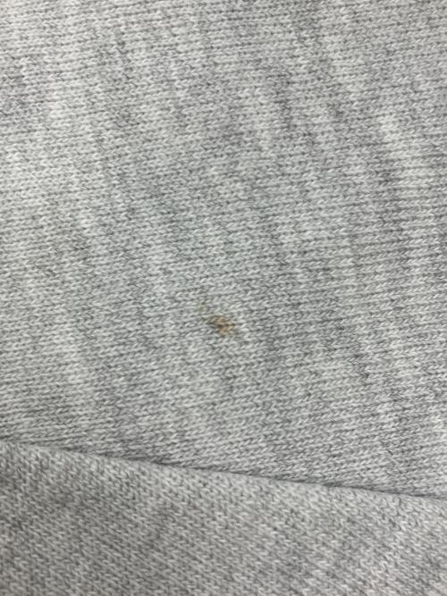 Champion REVERSE WEAVE（チャンピオン リバース ウィーブ）Champion REVERSE WEAVE (チャンピオン リバース ウィーブ) スウェット グレー サイズ:XXLの古着・服飾アイテム