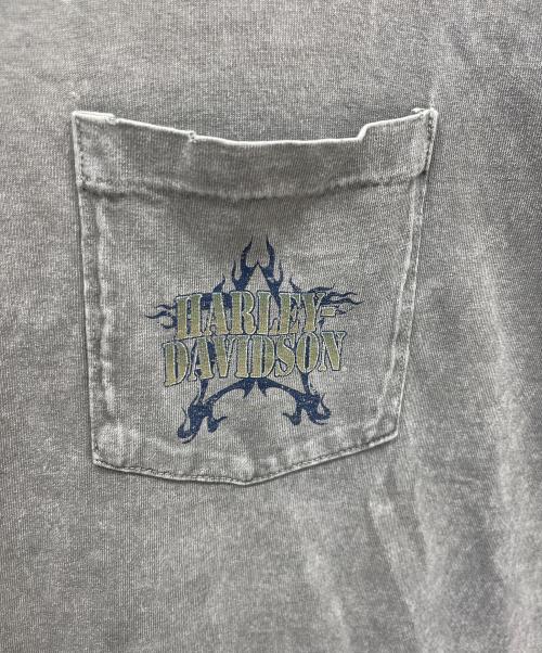 HARLEY-DAVIDSON（ハーレーダビッドソン）HARLEY-DAVIDSON (ハーレーダビッドソン) バックプリントTシャツ グレー サイズ:Lの古着・服飾アイテム